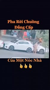 676K views · 6.4K reactions | Các bác tài lâu năm chia sẻ kinh nghiệm nhé! #oto #xehoi #mazda #huyndai #toyota #kia | Nguyễn Hoàng | Facebook