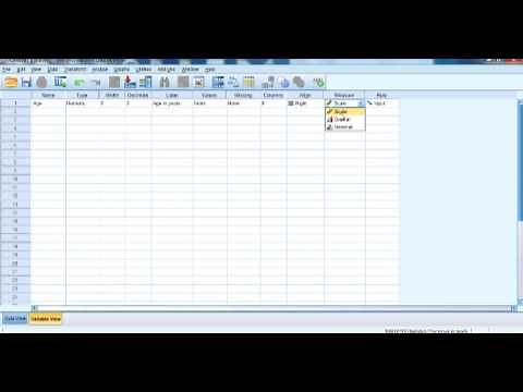 SPSS Tutorial.1