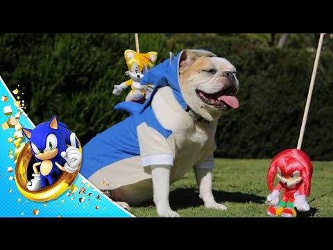 Sonic The Hedgedog: Act 4 (Finale)