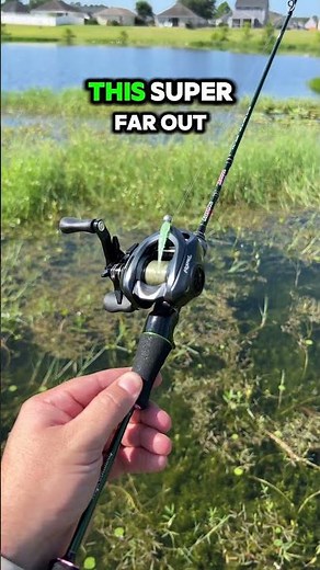 Testing Super Ultralight BFS Rod👀 #bfsfishing