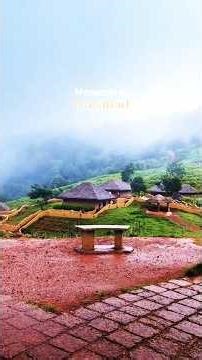 Feel the sound of nature in kerala #nature #peaceful #travel #monsoon