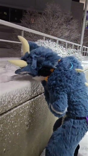 what we sniffin in fursuit lmao