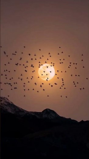 Peaceful Prayer Music - Instrumental Worship Music for Prayer, Meditation & Relaxation