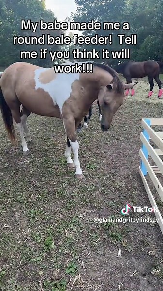 Homemade round bale feeder. #Roundbalefeeder #HorseLife #HorsesOfTikTok #Equestrian #Horses. .