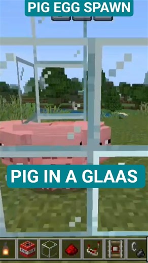 A SPAWN PIG IN A GLASS AND OPEN THE GLASS #shorts #minecraft #gaming