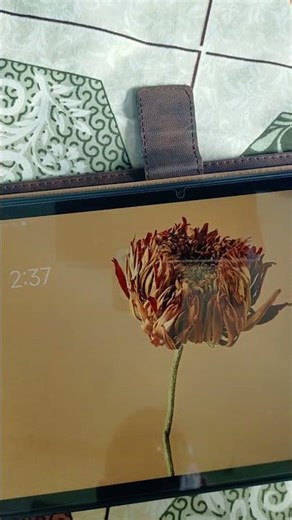 Cheap vs Best Stylus Pen 😍 | Unboxing & Review #starpriceINDIA