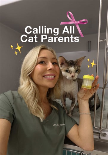 Cat Urine Changes? Fit Litter Color Indicator | Vet Nurse Tips