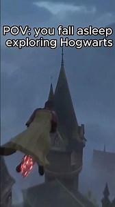 Pov: You Accsidently fell asleep ehile playin hogwarts legacy