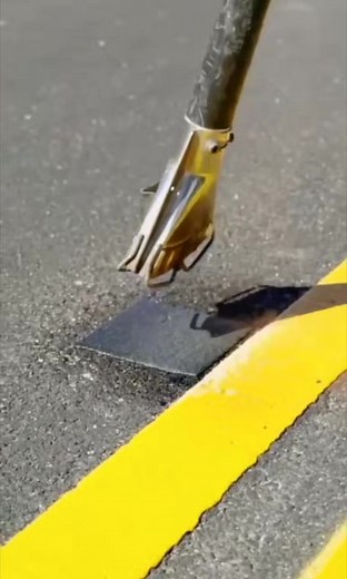 Daily interesting and amazing facts. . . . . . . Collection of facts #reel #shorts #factworld #realworld #touchingfacts #kidneytouchingfacts #nunutouchingfacts | Fact Checkz