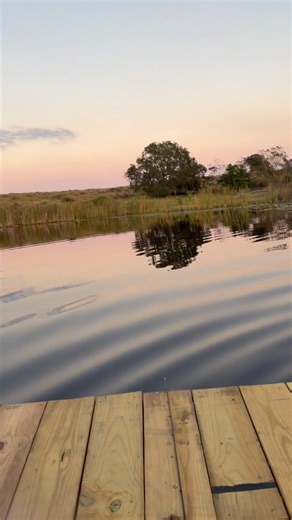 William Faulkner on Reels