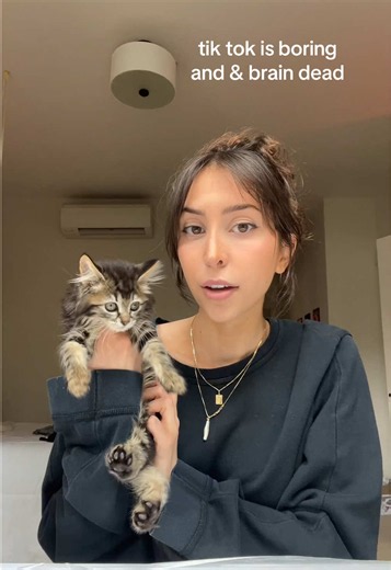 why post to just get annoyed at people for being dumb #foster #kitten #cat #catsoftiktok #catrescue