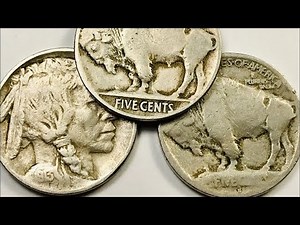 1913 Buffalo Nickels To Look For