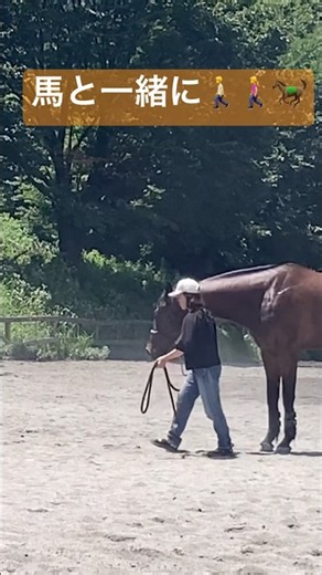 まじめに練習した後は…10秒で砂浴びを済ませてサッサと帰りたい馬 funny horse🐎Nankandamashii｜ナンカンさんの馬小屋 #horse #馬
