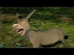 Shrek 2: Donkey (2004) (VHS Capture) (11)
