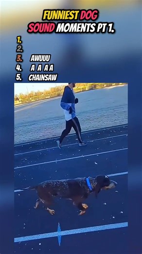 Funniest dog sound moments pt 1.!!#shorts