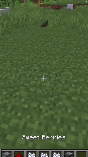 Efficient Sweet Berry Farm Tutorial in Minecraft