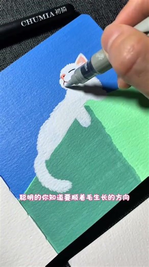 丙烯马克笔手绘“沐光的猫”一起来画画吧