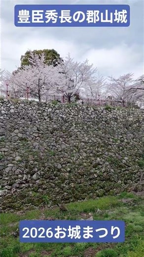 大和 郡山城 #お城まつり