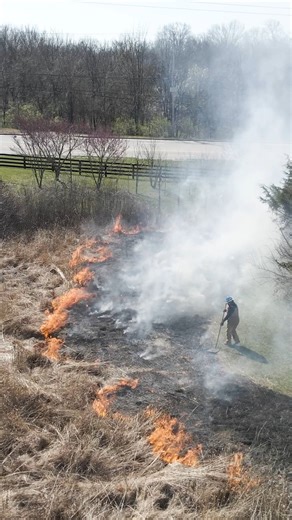 5.2K views · 62 reactions | Who would've thought that controlled burning is THE most efficient way of producing quality wildlife habitat?樂 | Kentucky Afield | Facebook