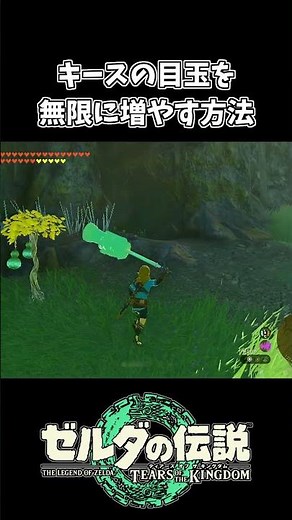 [Tearkin] How to collect Keith's eyes infinitely [The Legend of Zelda: Tears of the Kingdom]