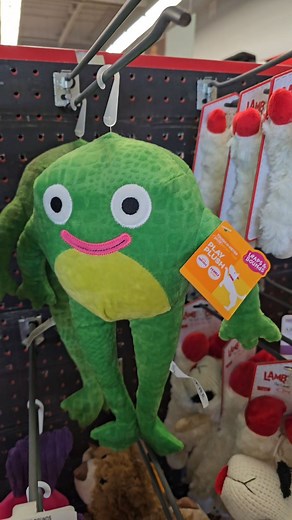 Wolf397 on Instagram: "The Mr. Frog merchandise has been selling out ever since he returned to TV, I got lucky to see this in stock! #smilingfriends #mrfrog #adultswim #oneyplays #psychicpebbles #michaelcusack #gwimbly"