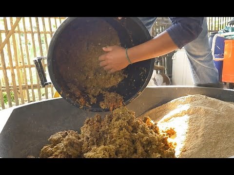 Farm-Made Pig Feed That Saves Money | Easy Fermented Silage Recipe