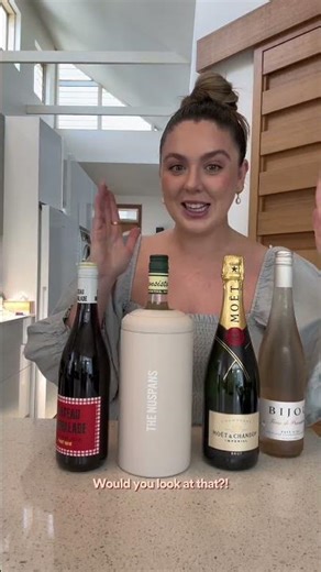 What Fits Inside a Beysis Wine Cooler?