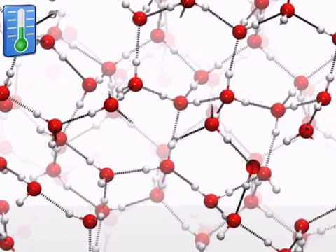Water freezing at the molecular level