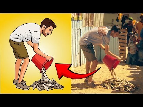 DYNAMOS FISCH-AUS-EIMER ZAUBERGEHEIMNIS ENTHÜLLT!