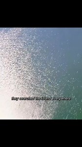 10K views · 131 reactions | Devil hunter #movieclips #viralvideo #cttocredittotherightfulowner | Manilyn Esmade Elumba | Facebook