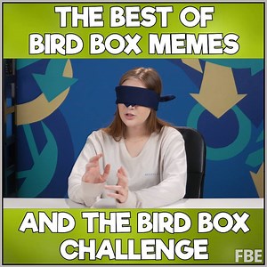 Have you seen Netflix's new hit, Bird Box? | People Vs Food By React