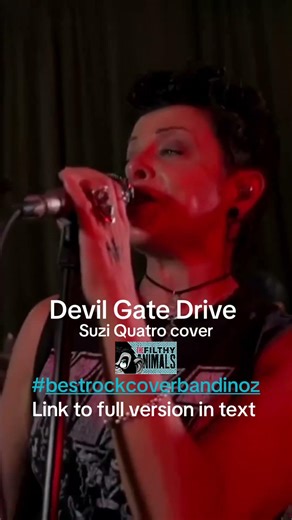 Devil Gate Drive- Suzi Quatro cover by The Filthy Animals #bestrockcoverbandinoz