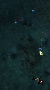 🌊 Diving Together with BLU3 Nomad 🤿👥👥 From a bird’s-eye view to underwater exploration, four divers are using the BLU3 Nomad to experience the ocean together. With each diver having their own system, everyone gets the freedom to move and explore while staying connected to their air supply on the surface. Would you dive with friends using BLU3? Let us know in the comments! 👇 | BLU3