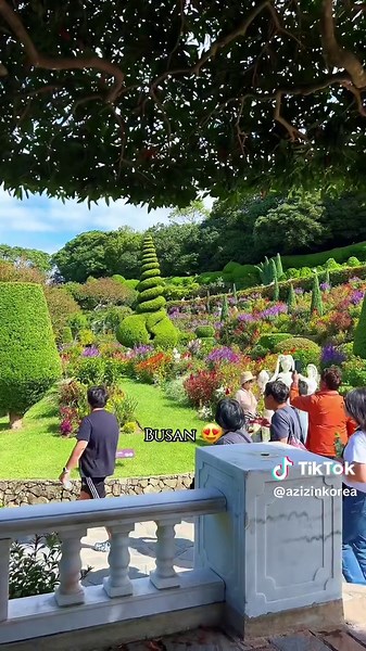 Explore Busan: South Korea's Coastal Gem