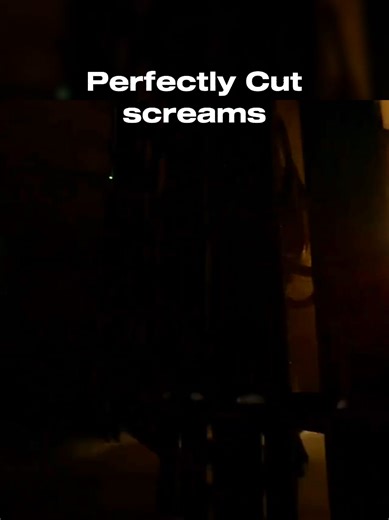 Perfectly Cut Screams Compilation