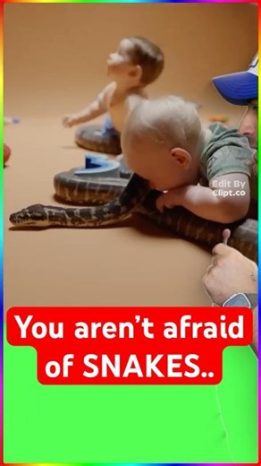 You aren't ACTUALLY afraid of snakes..