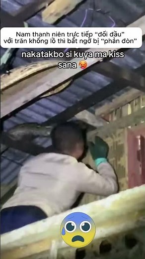 Nam thanh niên trực tiếp “đối đầu” với trăn khổng lồ thì bất ngờ bị “phản đòn”