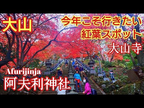神奈川 見逃し厳禁の絶景『紅葉の大山阿夫利神社と大山寺』 歴史と見所と穴場を徹底解説❗️