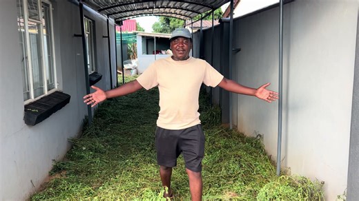 Drying Lucerne Under Shade: Best Practices for Farmers