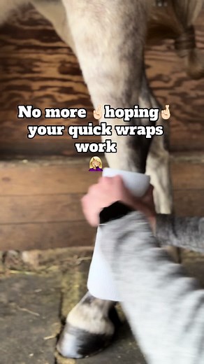 Time to level up your quick wraps. All the convenience you want while not skipping the compression your horse needs 💯 • #horselegcare #horsestandingwrap #horsebandages #horsecompression #horsecare #horsehealth #equinerehab #horseinjury #howtowraphorse #horsetherapy #equestrianlife #horsegrooming #horselove #cutting #reining #dressage #eventing #showjumper #westernpleasure #barrelracing #sporthorse #strappywrap