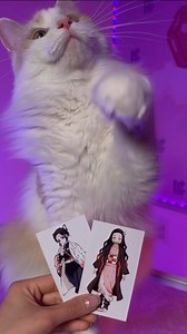 23K views · 346 reactions | Shinobu or Nezuko?✨ Cr: @frrfrr_house #cat #demonslayer #kimetsunoyaiba #kamadonezuko #nezuko #cosplay #demonslayercosplay #nezukocosplay #catcosplay #cutecosplay #cosplayer #cosplay | EZCosplay Costumes | Facebook