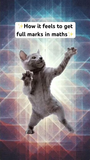 How it feels to get full marks in maths