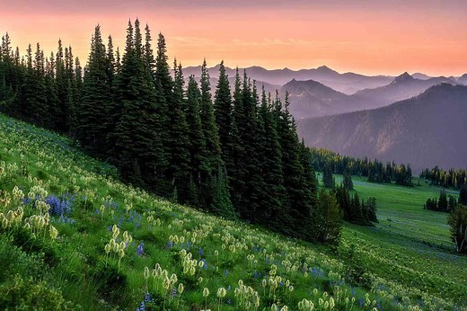 12 Most Stunning National Parks in the U.S.