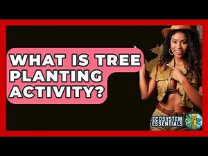 What Is Tree Planting Activity? - Ecosystem Essentials
