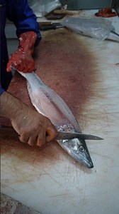 Filleting Spanish Mackerel (Narrow-Barred): Easy Clean Fillet + Skin Off
