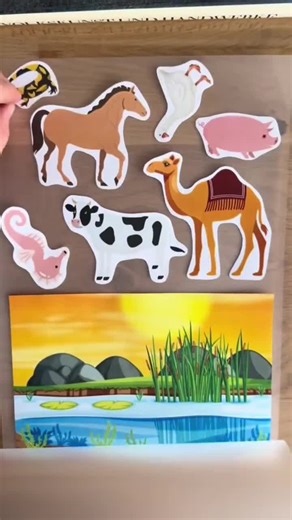 Animal Habitat Matching Game | Preschool Learning Activity (PDF) - Etsy
