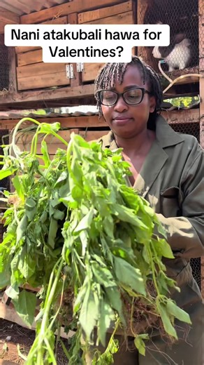 Daily Rituals at Rabbit Hutches for Happy Pets