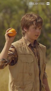 1.5K views · 40 reactions | Elephant training 101. Stream An Elephant’s Journey free on The CW! | The CW | Facebook