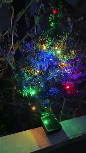 Effortless Outdoor Holiday Lighting With Solar LEDs ad