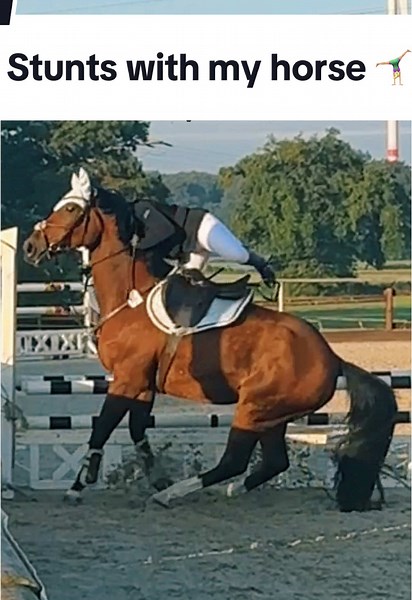 Stunts mit meinem Pferd – Spring- oder Dressurtraining?